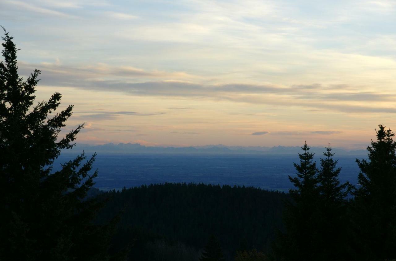 Alpenblick Apartment Sankt Englmar Bagian luar foto