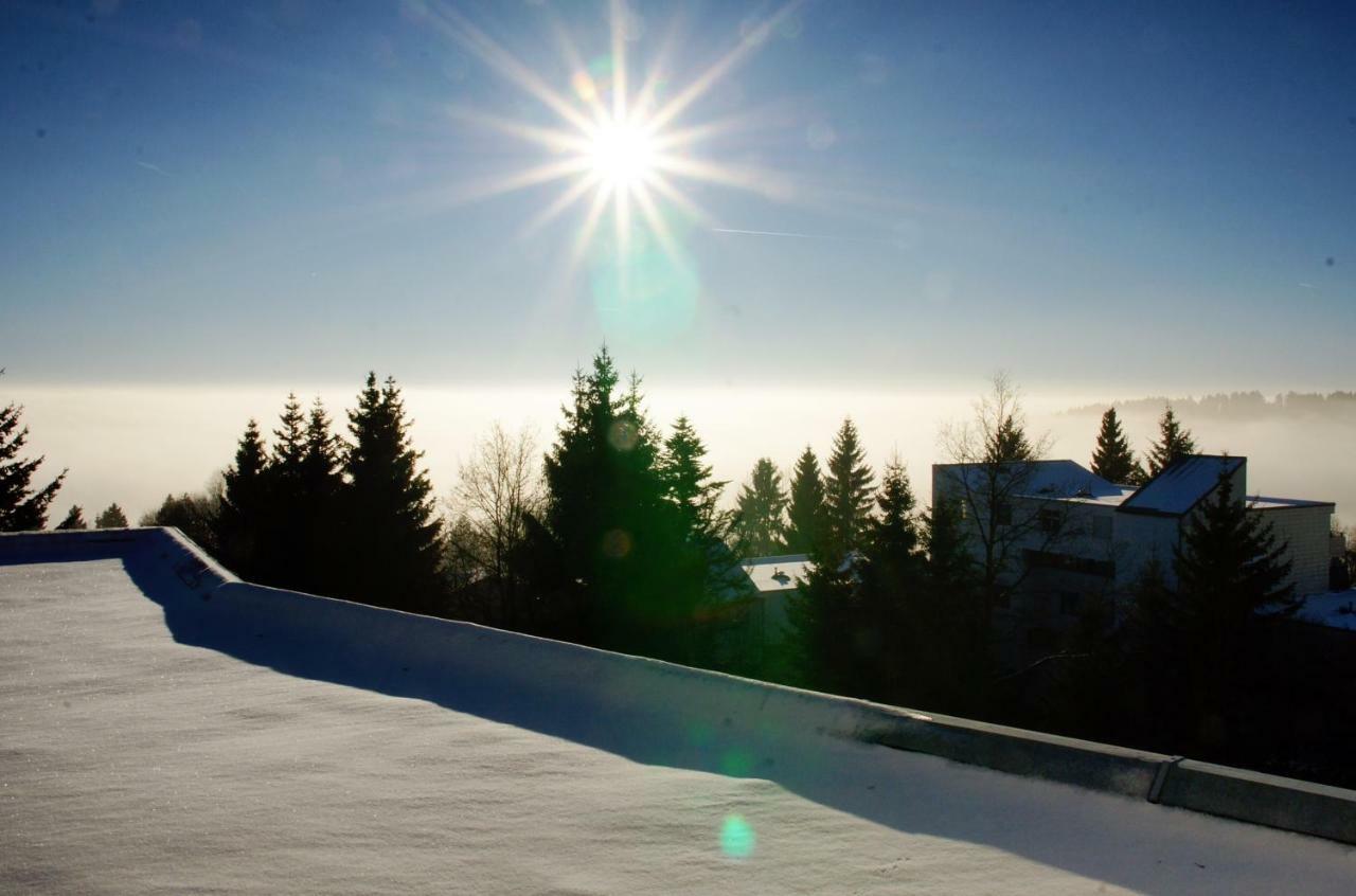 Alpenblick Apartment Sankt Englmar Bagian luar foto